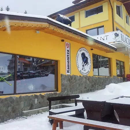 Guest house Black Horse