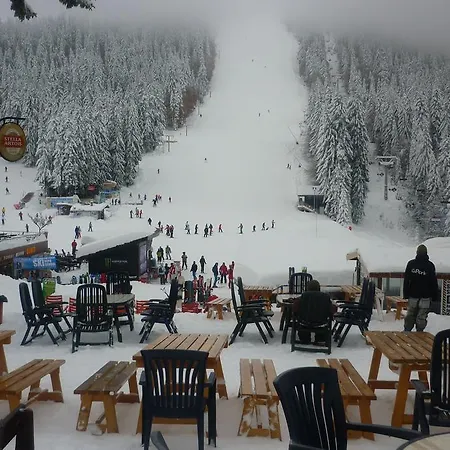 Gæstehus Black Horse 3*